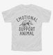 Emotional Support Animal Funny Mean Possum Joke  Youth Tee