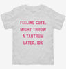 Feeling Cute Might Throw A Tantrum Later Toddler Shirt 666x695.jpg?v=1706842564