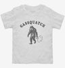 Gassquatch Funny Fart Sasquatch Graphic Bigfoot Toddler Shirt 666x695.jpg?v=1706832998