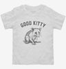 Good Kitty Funny Cute Opossum Toddler Shirt 666x695.jpg?v=1706838615