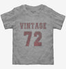 1972 Vintage Jersey Toddler Tshirt 5fdc2420-536f-4b1f-921d-1cb4080febc3 666x695.jpg?v=1700584285