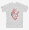 Anatomical Heart Youth