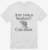 Are You A Beaver Cuz Dam Funny Shirt 666x695.jpg?v=1700377521
