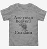 Are You A Beaver Cuz Dam Funny Toddler