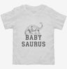 Babysaurus Baby Dinosaur Toddler Shirt 666x695.jpg?v=1700363841
