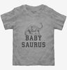 Babysaurus Baby Dinosaur Toddler