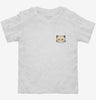 Cat In Pocket Toddler Shirt 666x695.jpg?v=1700303763