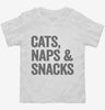 Cats Naps And Snacks Toddler Shirt 666x695.jpg?v=1700414799
