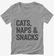 Cats Naps and Snacks  Womens V-Neck Tee