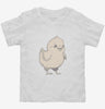 Cute Baby Chicken Chick Toddler Shirt 666x695.jpg?v=1700301470
