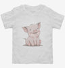 Cute Farm Animal Pig Toddler Shirt 666x695.jpg?v=1700293465