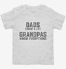 Dads Know A Lot Grandpas Know Everything Toddler Shirt 666x695.jpg?v=1700388174