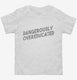 Dangerously Overeducated  Toddler Tee