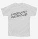 Dangerously Overeducated  Youth Tee