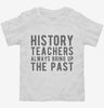 Funny History Teachers Always Bring Up The Past Toddler Shirt 666x695.jpg?v=1700377396