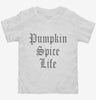 Funny Pumpkin Spice Life Toddler Shirt 666x695.jpg?v=1700446947