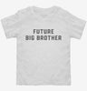 Future Big Brother Toddler Shirt 666x695.jpg?v=1700343724