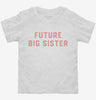 Future Big Sister Toddler Shirt 666x695.jpg?v=1700343684