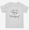 I Put The Dying In Studying Toddler Shirt 666x695.jpg?v=1700635322