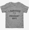 I Survived My Pregnant Wife Toddler