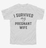 I Survived My Pregnant Wife Youth
