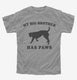 My Big Brother Has Paws Funny Baby Dog  Youth Tee