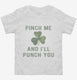 Pinch Me And I'll Punch You St Patricks Day  Toddler Tee