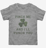 Pinch Me And Ill Punch You St Patricks Day Toddler Tshirt 9cf7c44d-b57e-4d2a-9565-a3150103b11f 666x695.jpg?v=1700596696