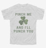 Pinch Me And Ill Punch You St Patricks Day Youth Tshirt 14628268-f54c-44f6-8668-816d00c72338 666x695.jpg?v=1700596696