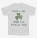 Pinch Me And I'll Punch You St Patricks Day  Youth Tee