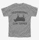 Professional Cow Tipper  Youth Tee