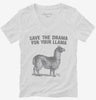 Save The Drama For Your Llama Womens Vneck Shirt 666x695.jpg?v=1700525930