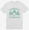 Shamrocks And Shenanigans Shirt 666x695.jpg?v=1707296859