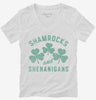 Shamrocks And Shenanigans Womens Vneck Shirt 666x695.jpg?v=1700326217