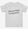 Shenanigan Enthusiast Toddler Shirt 666x695.jpg?v=1700391792