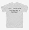What Did The Five Fingers Say To The Face Slap Youth Tshirt 7ef5131f-af8a-4e6a-bcb9-822a096735ae 666x695.jpg?v=1700588477