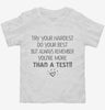 You Are More Than A Test State Testing Teacher Toddler Shirt 666x695.jpg?v=1700379645