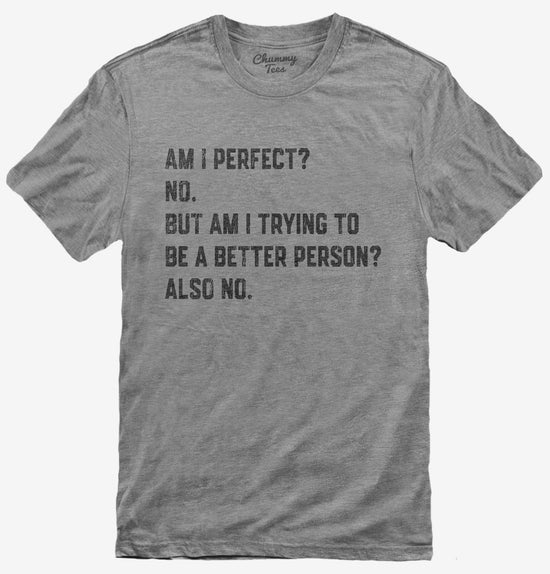 Am I Perfect No Funny Sarcastic Self Improvement Joke T-Shirt