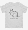 Chinchillin Toddler Shirt 666x695.jpg?v=1726126462