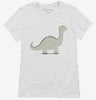 Cute Diplodocus Womens Shirt 6039f52c-bc8a-4605-9c38-1819f1606042 666x695.jpg?v=1700313375