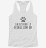 Cute Irish Water Spaniel Dog Breed Womens Racerback Tank E88a0f4f-c320-4ff9-8fd1-8d9a3b59c7fa 666x695.jpg?v=1700691402