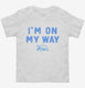 I'm On My Way Turtle  Toddler Tee