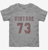 1973 Vintage Jersey Toddler Tshirt Fd9266b2-1a81-45a5-a61c-1641deb44c24 666x695.jpg?v=1700584233