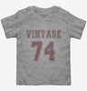 1974 Vintage Jersey Toddler Tshirt 206934d4-7fbe-4a14-b7d7-304704058f90 666x695.jpg?v=1700584188