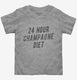 24 Hour Champagne Diet  Toddler Tee