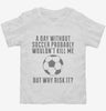 A Day Without Soccer Toddler Shirt C438bdfa-14e8-463a-9adb-dbc8648ffd8e 666x695.jpg?v=1700582539