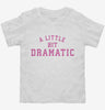 A Little Bit Dramatic Toddler Shirt 666x695.jpg?v=1700356958