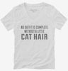 A Little Cat Hair Animal Rescue Womens Vneck Shirt Db9f3559-2dc8-41d6-86db-7f52c9e0c8b2 666x695.jpg?v=1700582398