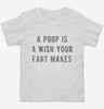 A Poop Is A Wish Your Fart Makes Toddler Shirt 666x695.jpg?v=1700657094