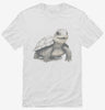 Adorable Baby Turtle Shirt 666x695.jpg?v=1700293232